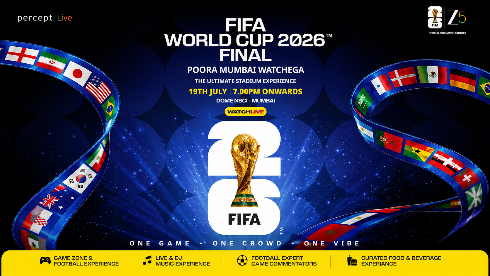 FIFA World Cup Final (The Ultimate Stadium Experience)
